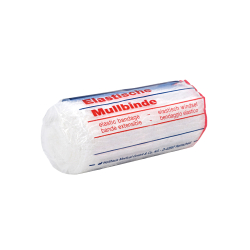 Holthaus Medical GmbH & Co. KG 