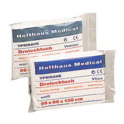 Holthaus Medical GmbH & Co. KG 