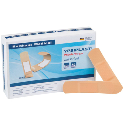 Holthaus Medical GmbH & Co. KG 