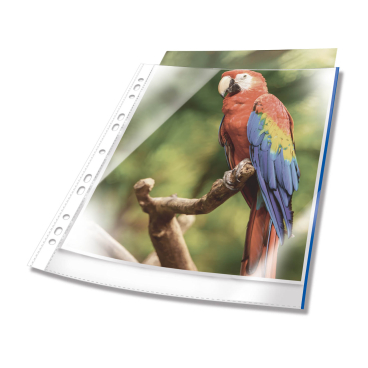 DURABLE PREMIUM Prospekthülle DIN A4 farbig 1 Beutel = 25 Hüllen, Farbe Blau - Bild-Darstellung des Produktes 1