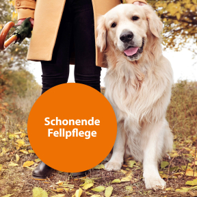hundeleine kaufen Wilderness  Funktionale Hundeleine kaufen