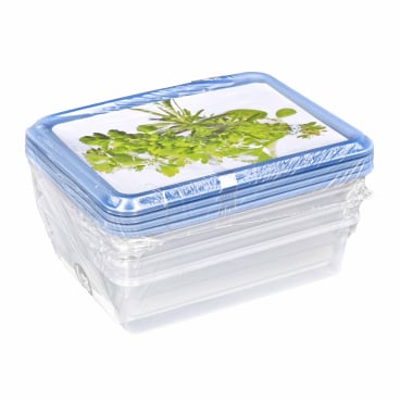Rotho RONDO Kräuter Gefrierdosen, 4 x 0,2 Liter 1 Set = 4 x 0,2 Liter kaufen