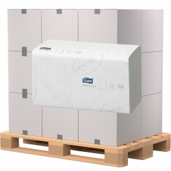 Essity Professional Hygiene Germany GmbH 