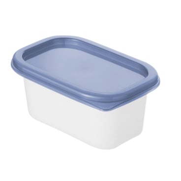 Rotho DOMINO Gefrierdosen, 4-teilig – 1 Set = 4 x 200 ml Dosen