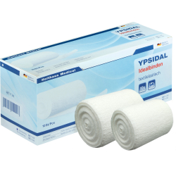 Holthaus Medical GmbH & Co. KG 