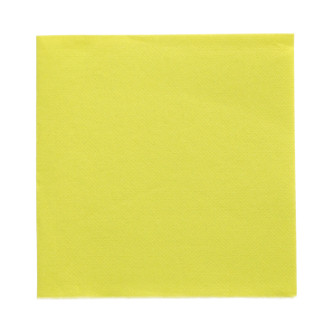 Caspari Woodland Santa Papier-Servietten – 15 Stück, Dreilagig, 32,4x39,4 Cm