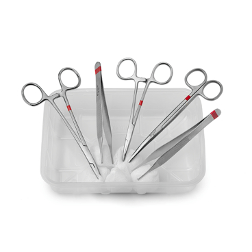 Fuhrmann Basis-Set fein, steril 1 Karton = 42 Sets - Bild-Darstellung des Produktes 1