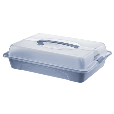 Rotho COOL & FRESH Party Butler Maße (L x B x H): 43,5 x 29,5 x 11 cm - Bild-Darstellung des Produktes 1