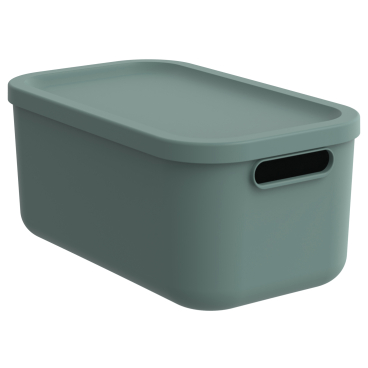 Rotho ALBULA LIGHT Box 12 l Farbe: Mistletoe green - Bild-Darstellung des Produktes 1
