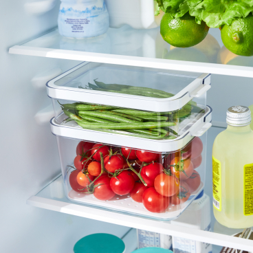 Rotho CAUMA KS Organizer Set, verschiedene Größen Größen 1,2 l und 2,15 l kaufen