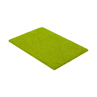 ASTRA Coco Color Trend Fußabtreter, ca. 40 × 60 cm Farbe: grün - Bild-Darstellung des Produktes 1