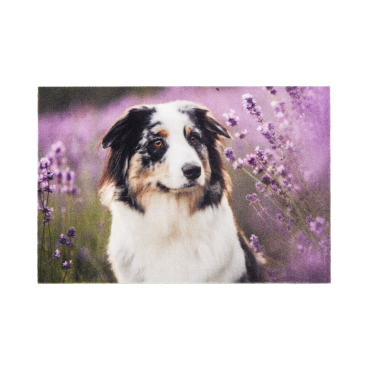 ASTRA Deco Print Motiv-Fußmatte, strapazierfähig, ca. 40 × 60 cm Motiv: Mila - Bild-Darstellung des Produktes 1