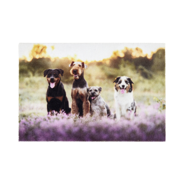 ASTRA Deco Print Motiv-Fußmatte, strapazierfähig, ca. 40 × 60 cm Motiv: Hunde - Bild-Darstellung des Produktes 1