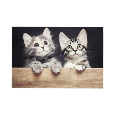 ASTRA Deco Print Motiv-Fußmatte, strapazierfähig, ca. 40 × 60 cm Motiv: Katzen, Holz - Bild-Darstellung des Produktes 1