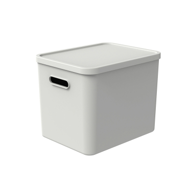 Rotho C4 ALBULA Aufbewahrungsbox, 27 l Farbe: Mistletoe white - Bild-Darstellung des Produktes 1