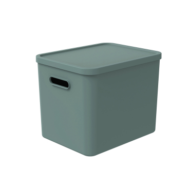 Rotho C4 ALBULA Aufbewahrungsbox, 27 l Farbe: Mistletoe green - Bild-Darstellung des Produktes 1