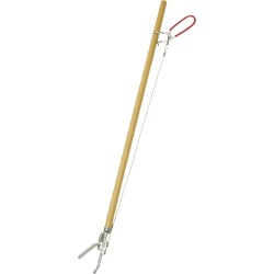 Dampf- & Fensterreiniger 