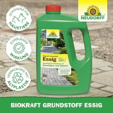 Neudorff BioKraft Grundstoff Essig Unkrautentferner, Konzentrat 3 Liter