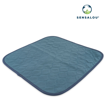 Sensalou Inkontinenz Stuhlauflage Sitzauflage wasserdicht waschbar 45x45 cm blau 45x45 cm - Bild-Darstellung des Produktes 1