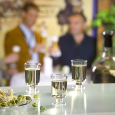 Papstar Stiel-Gläser für Schnaps mit Füß 1 Packung = 20 Schnapsgläser kaufen